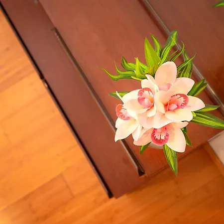 Appartamento T&t - Zf Hvar *